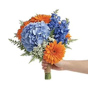 Blossom Petal Serenity