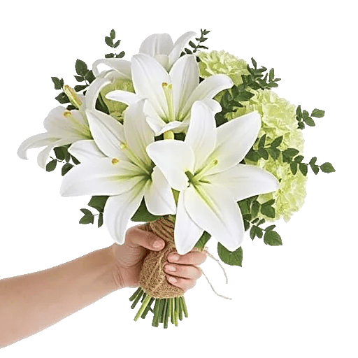 Ivory Garden Grace