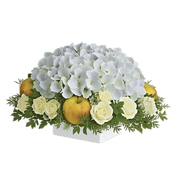 Serene Petal Harmony