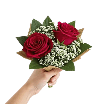 Crimson Rose Elegance
