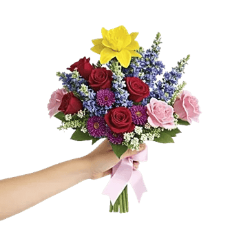 Blossom Harmony Display