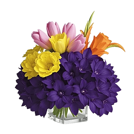 Velvet Tulip Display