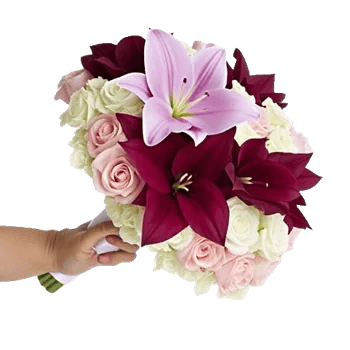 Elegant Calla Lilies