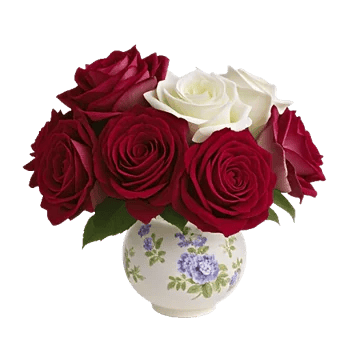 Crimson Rose Elegance