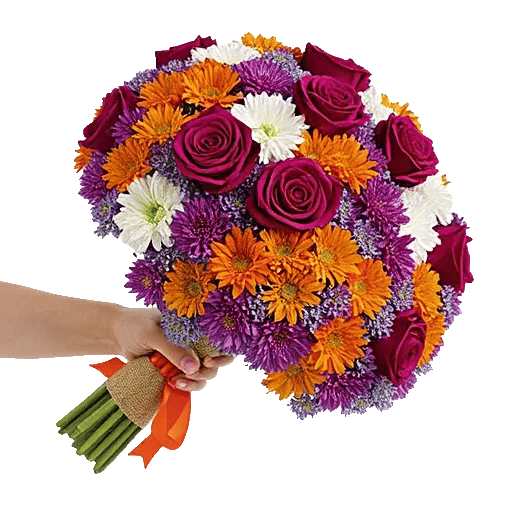 Blushing Rose Symphony