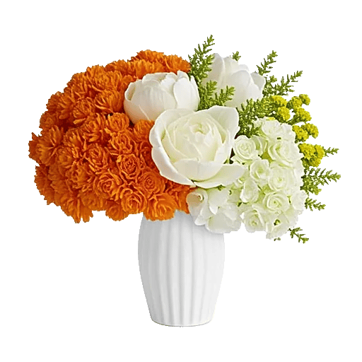 Petal Radiance Bliss