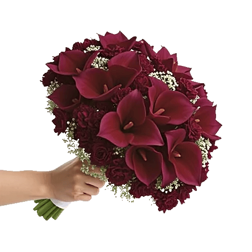 Elegant Calla Lilies