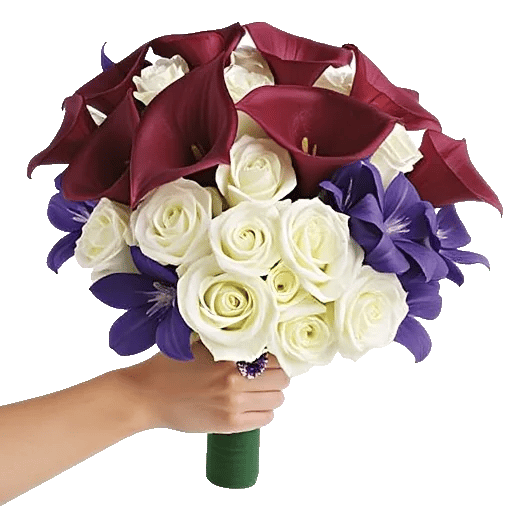 Elegant Calla Lilies