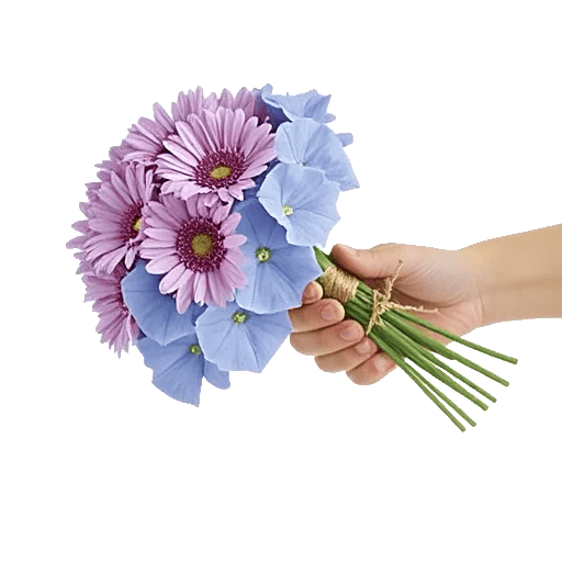 Pastel Blossom Grace