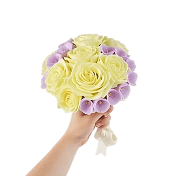 Delicate Petal Cascade