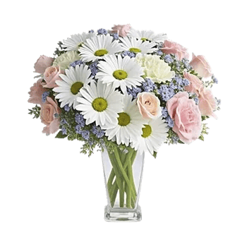 Delicate Petal Cascade