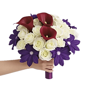 Elegant Calla Lilies