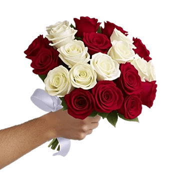 Crimson Rose Elegance