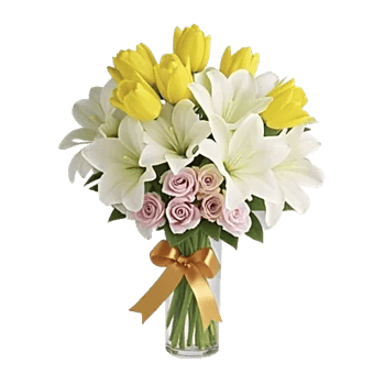 Ivory Blossom Radiance