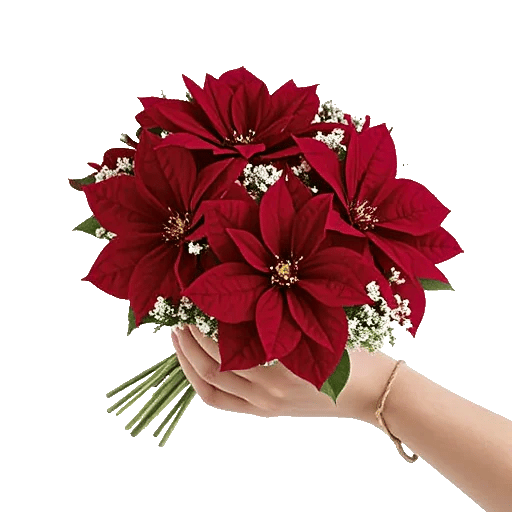 Crimson Rose Elegance