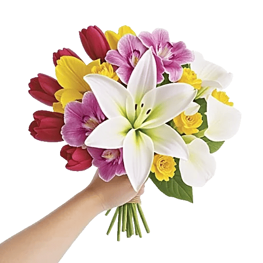 Blossom Harmony Display