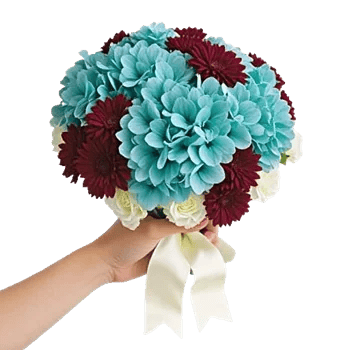 Serene Petal Harmony