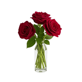 Crimson Rose Elegance