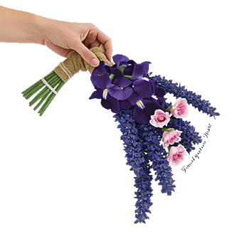 Ivory Blossom Radiance