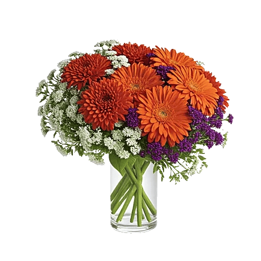 Ivory Blossom Radiance