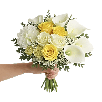 Petal Grace Harmony