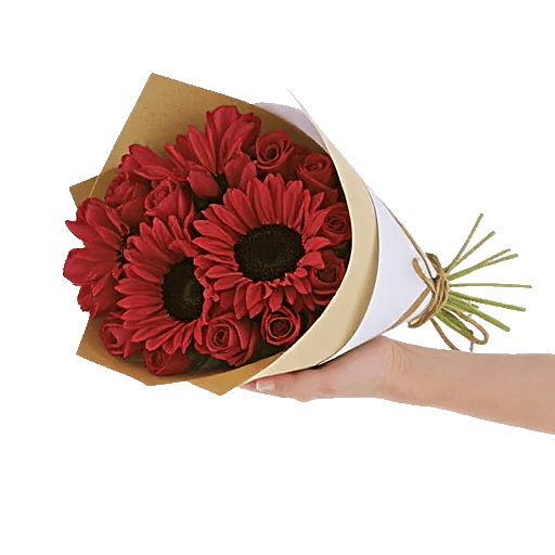 Twinkling Sunflower Dance