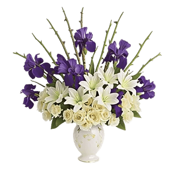 Ivory Blossom Radiance