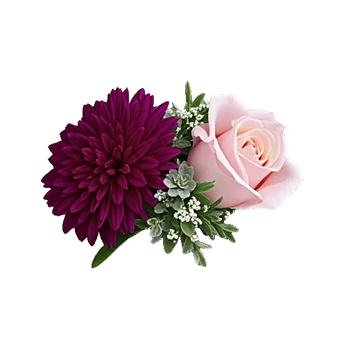 Delicate Petal Cascade