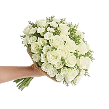 Ivory Garden Grace