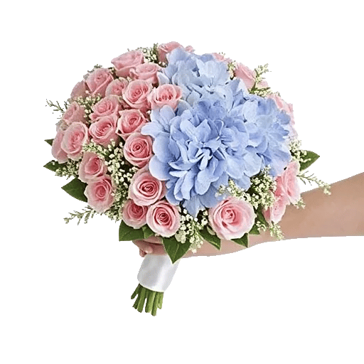 Pastel Pink Roses