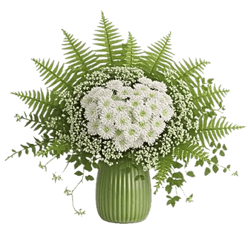 Ivory Blossom Radiance