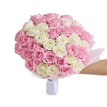 Peony Petal Harmony