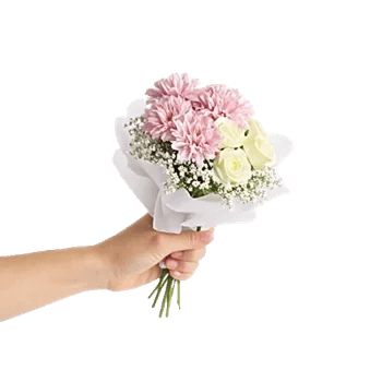Pink Pastel Roses