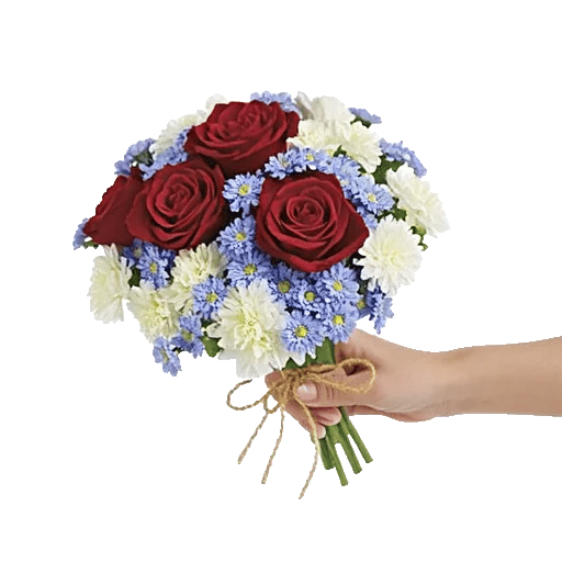 Crimson Rose Elegance