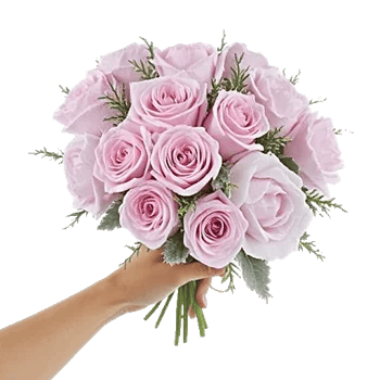 Pastel Pink Roses