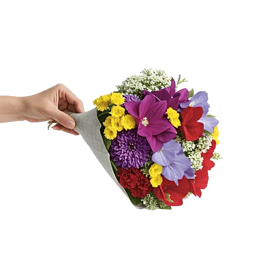 Blossom Harmony Display