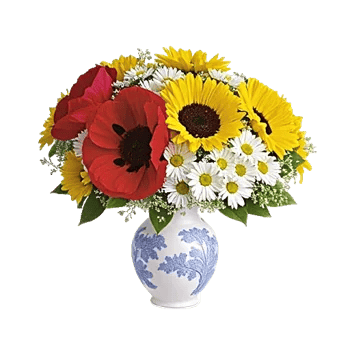 Petal Radiance Bliss