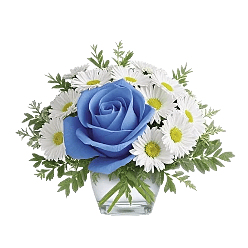 Elegant Blue Roses