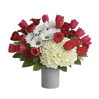 Crimson Blossom Harmony