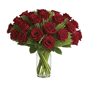 Crimson Rose Elegance
