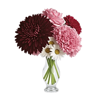 Crimson Blossom Harmony