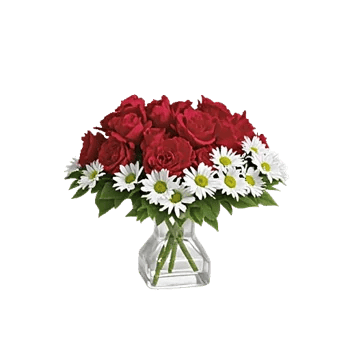 Delicate Petal Cascade