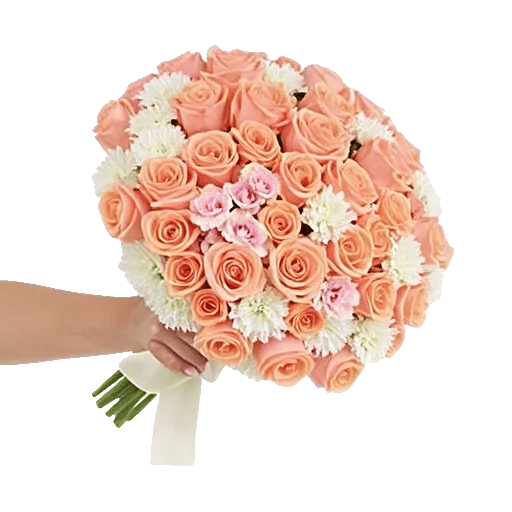 Blushing Rose Symphony