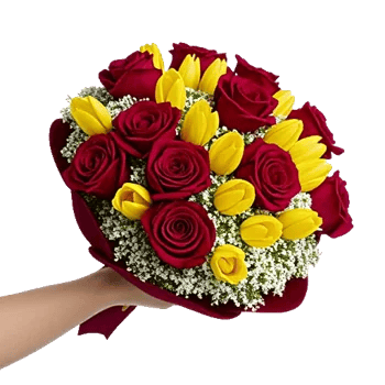 Crimson Rose Elegance