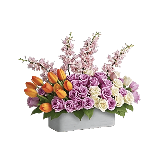 Blossom Glow Symphony