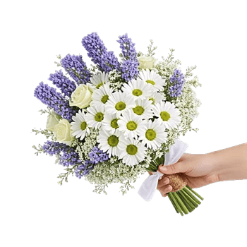 Rosemary Bloom Elegance