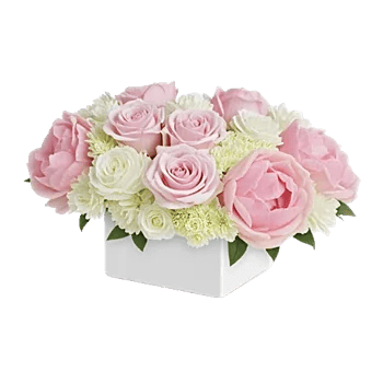Delicate Petal Cascade