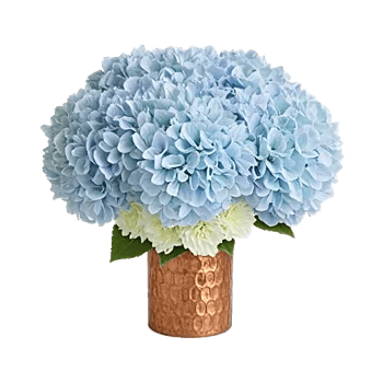 Serene Garden Harmony