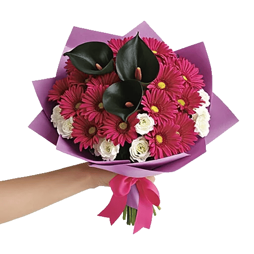 Elegant Calla Lilies