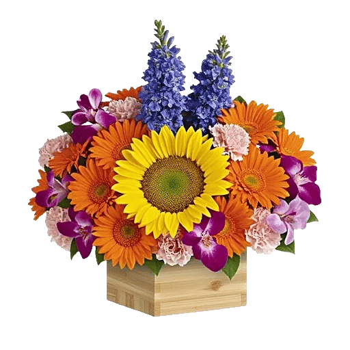 Radiant Bloom Cascade